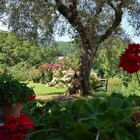 Agriturismo Fiore Viggianello Exterior foto